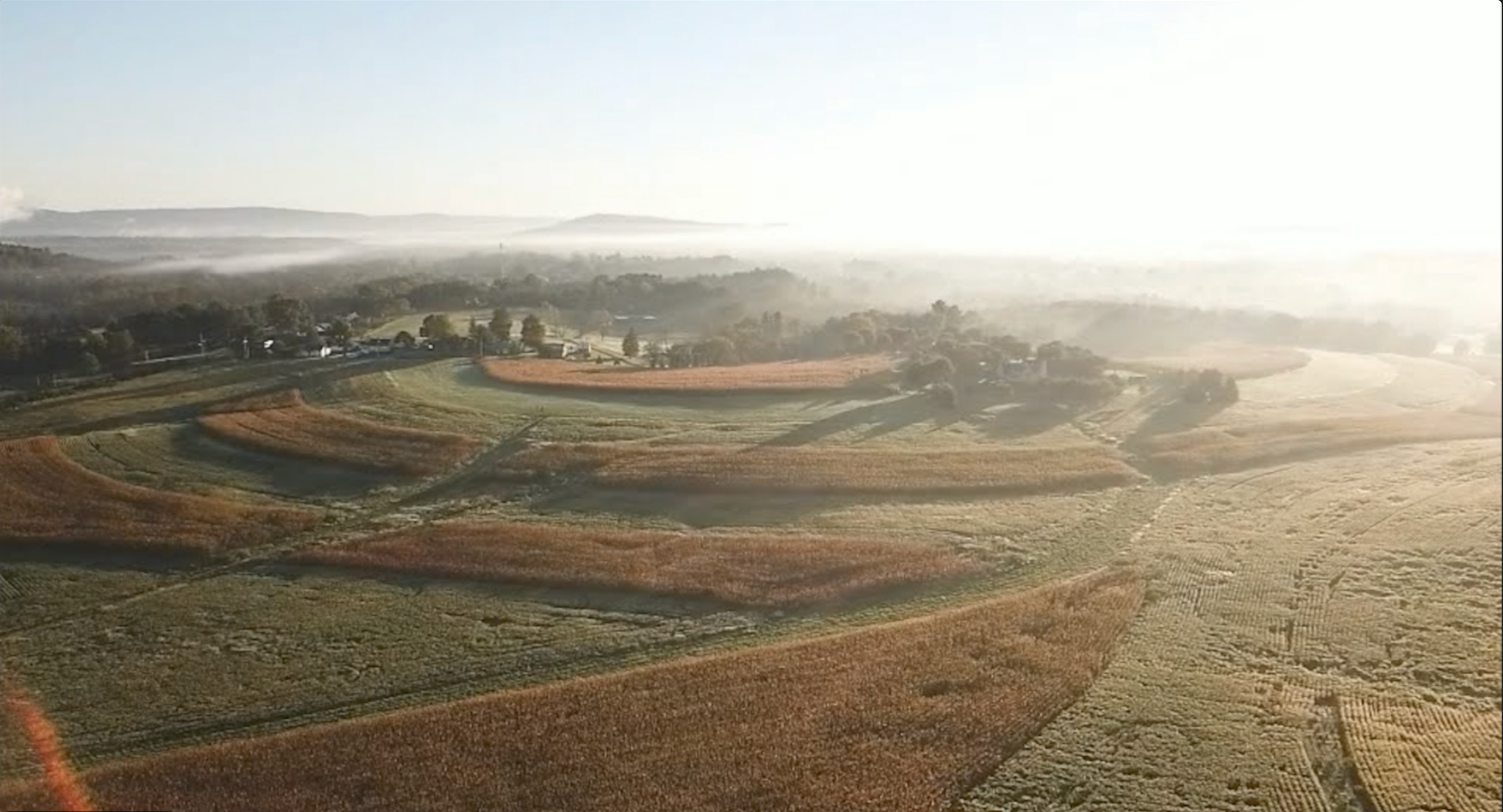 Aerial view over cultivated fields beneath a pale misty sky.